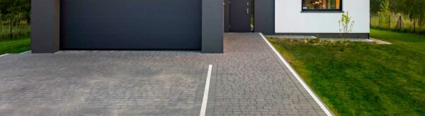 ALLEE